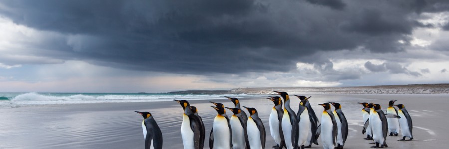 7 reasons why it’s good to talk in a group